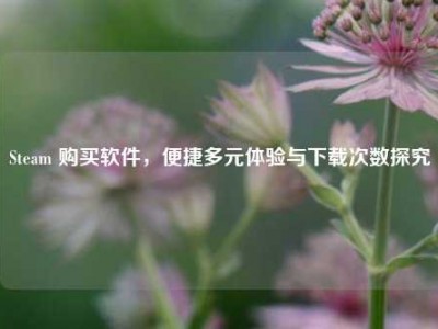 Steam 购买软件，便捷多元体验与下载次数探究