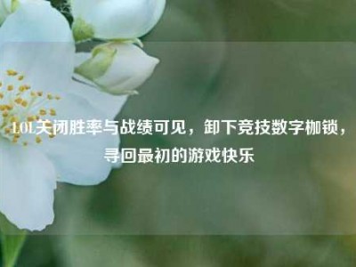 LOL关闭胜率与战绩可见，卸下竞技数字枷锁，寻回最初的游戏快乐