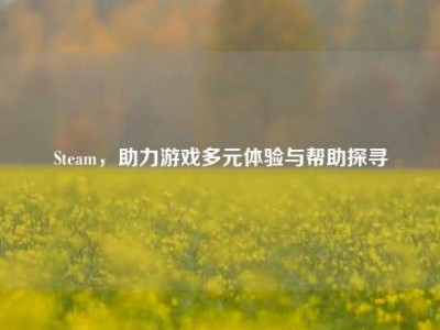Steam，助力游戏多元体验与帮助探寻