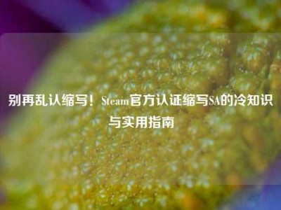 别再乱认缩写！Steam官方认证缩写SA的冷知识与实用指南