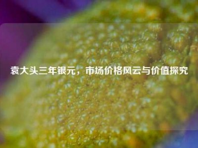 袁大头三年银元，市场价格风云与价值探究