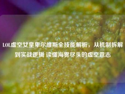 LOL虚空女皇卑尔维斯全技能解析，从机制拆解到实战逻辑 读懂海雾尽头的虚空意志