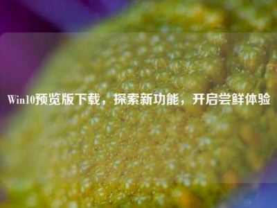 Win10预览版下载，探索新功能，开启尝鲜体验