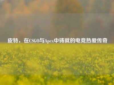 皮特，在CSGO与Apex中铸就的电竞热爱传奇
