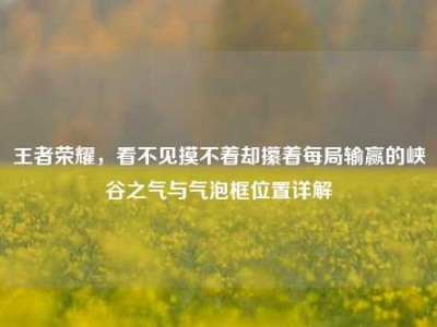 王者荣耀，看不见摸不着却攥着每局输赢的峡谷之气与气泡框位置详解