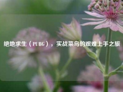 绝地求生（PUBG），实战菜鸟的艰难上手之旅