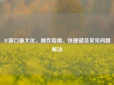 IE窗口最大化，操作指南、快捷键及常见问题解决