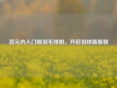 百元内入门级羽毛球拍，开启羽球新旅程