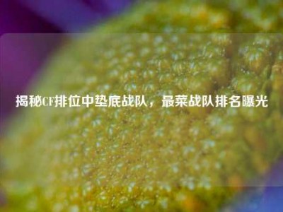 揭秘CF排位中垫底战队，最菜战队排名曝光