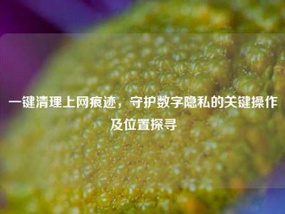 一键清理上网痕迹，守护数字隐私的关键操作及位置探寻
