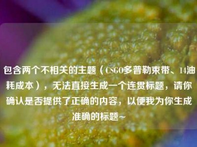 包含两个不相关的主题（CSGO多普勒束带、14油耗成本），无法直接生成一个连贯标题，请你确认是否提供了正确的内容，以便我为你生成准确的标题~