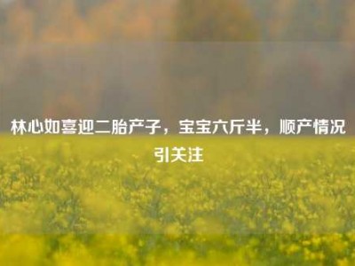 林心如喜迎二胎产子，宝宝六斤半，顺产情况引关注