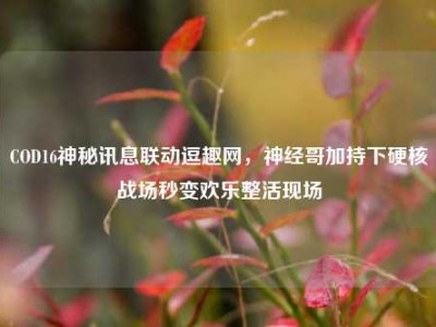 COD16神秘讯息联动逗趣网，神经哥加持下硬核战场秒变欢乐整活现场