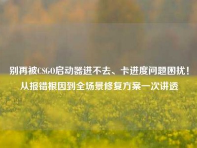 别再被CSGO启动器进不去、卡进度问题困扰！从报错根因到全场景修复方案一次讲透