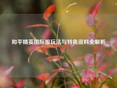 和平精英国际服玩法与特色资料全解析
