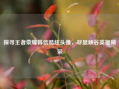 探寻王者荣耀韩信酷炫头像，尽显峡谷英雄风采