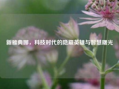 新雅典娜，科技时代的隐藏英雄与智慧曙光