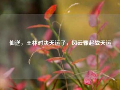 仙逆，王林对决天运子，风云骤起战天运