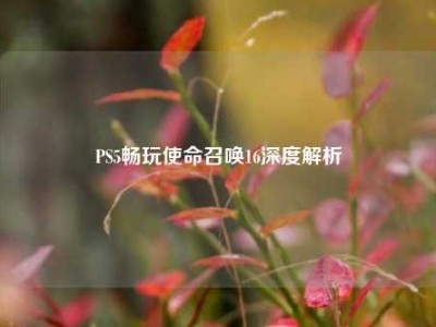 PS5畅玩使命召唤16深度解析