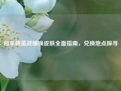 和平精英战绩换皮肤全面指南，兑换地点探寻