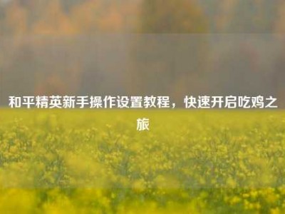 和平精英新手操作设置教程，快速开启吃鸡之旅