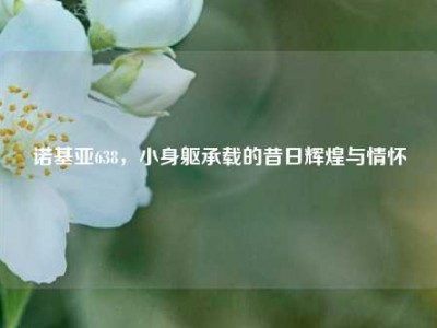 诺基亚638，小身躯承载的昔日辉煌与情怀