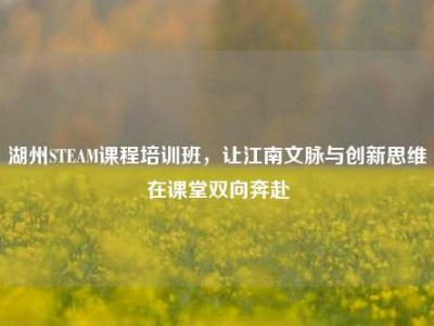 湖州STEAM课程培训班，让江南文脉与创新思维在课堂双向奔赴
