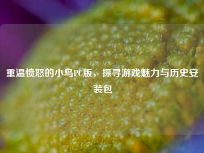 重温愤怒的小鸟PC版，探寻游戏魅力与历史安装包