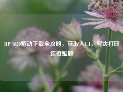 HP 1020驱动下载全攻略，获取入口，解决打印连接难题