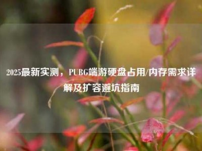 2025最新实测，PUBG端游硬盘占用/内存需求详解及扩容避坑指南