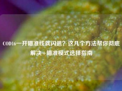 COD16一开瞄准线就闪退？这几个方法帮你彻底解决+瞄准模式选择指南