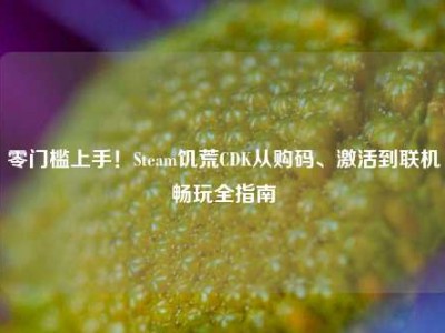 零门槛上手！Steam饥荒CDK从购码、激活到联机畅玩全指南