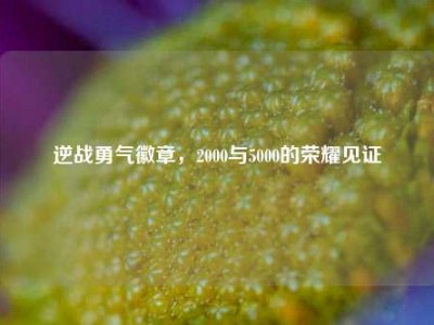 逆战勇气徽章，2000与5000的荣耀见证