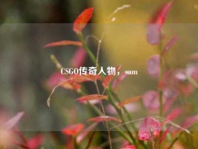 CSGO传奇人物，sam