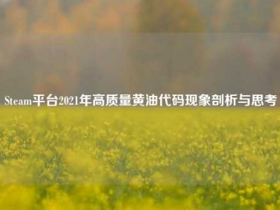 Steam平台2021年高质量黄油代码现象剖析与思考