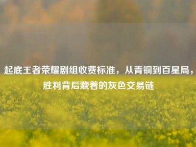 起底王者荣耀剧组收费标准，从青铜到百星局，胜利背后藏着的灰色交易链