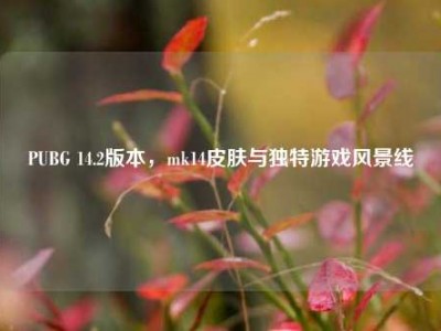 PUBG 14.2版本，mk14皮肤与独特游戏风景线
