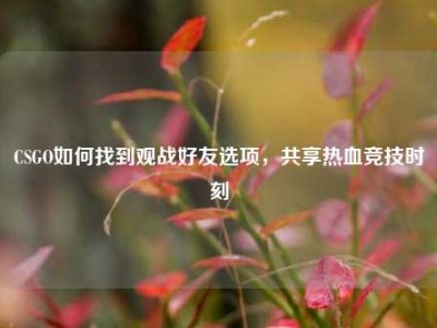 CSGO如何找到观战好友选项，共享热血竞技时刻