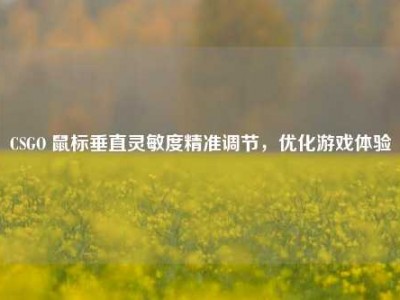 CSGO 鼠标垂直灵敏度精准调节，优化游戏体验