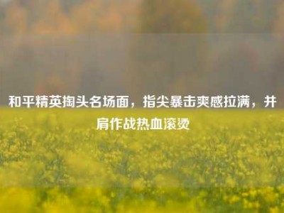 和平精英掏头名场面，指尖暴击爽感拉满，并肩作战热血滚烫