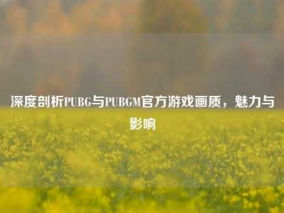 深度剖析PUBG与PUBGM官方游戏画质，魅力与影响