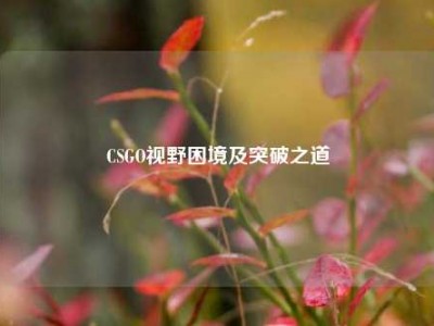 CSGO视野困境及突破之道