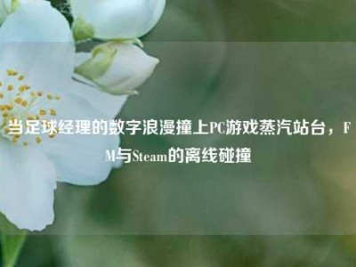 当足球经理的数字浪漫撞上PC游戏蒸汽站台，FM与Steam的离线碰撞