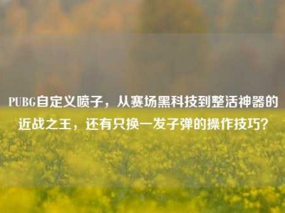 PUBG自定义喷子，从赛场黑科技到整活神器的近战之王，还有只换一发子弹的操作技巧？