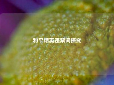 和平精英违禁词探究