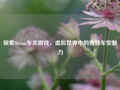 探索Steam车类游戏，虚拟世界中的独特车型魅力