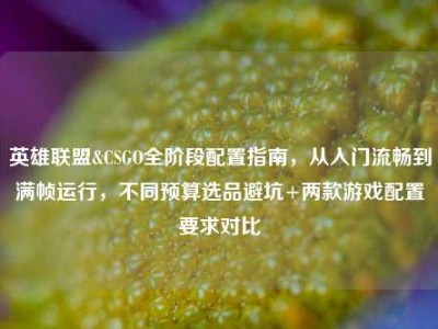 英雄联盟&CSGO全阶段配置指南，从入门流畅到满帧运行，不同预算选品避坑+两款游戏配置要求对比