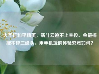 大圣玩和平精英，筋斗云追不上空投、金箍棒敲不碎三级头，用手机玩的体验究竟如何？
