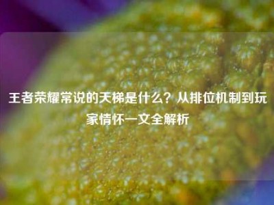 王者荣耀常说的天梯是什么？从排位机制到玩家情怀一文全解析