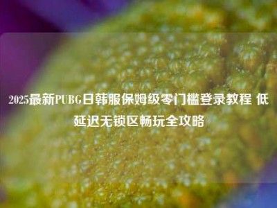 2025最新PUBG日韩服保姆级零门槛登录教程 低延迟无锁区畅玩全攻略